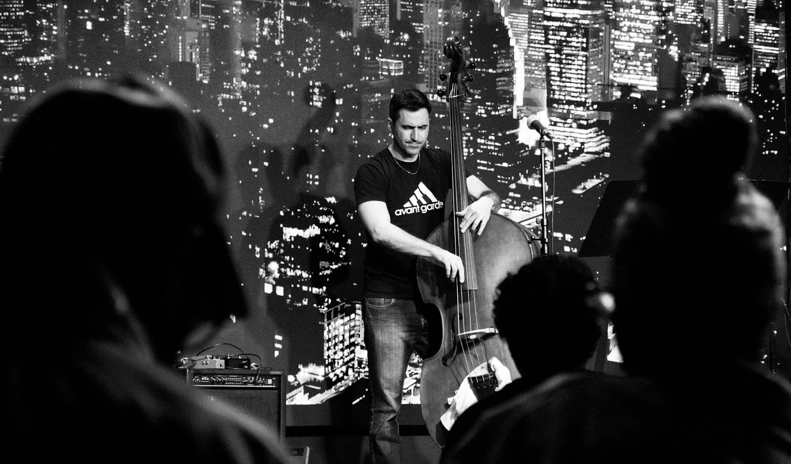 Silhouetted audience watching a jazz performance